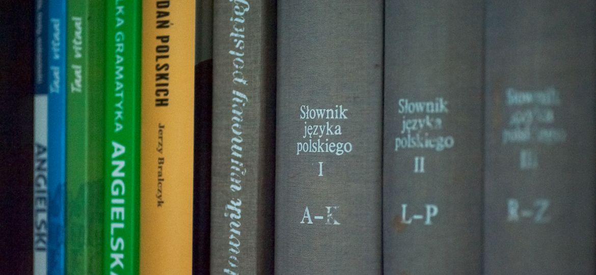 słowniki